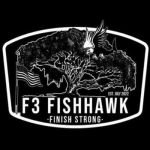 F3 Fishhawk
